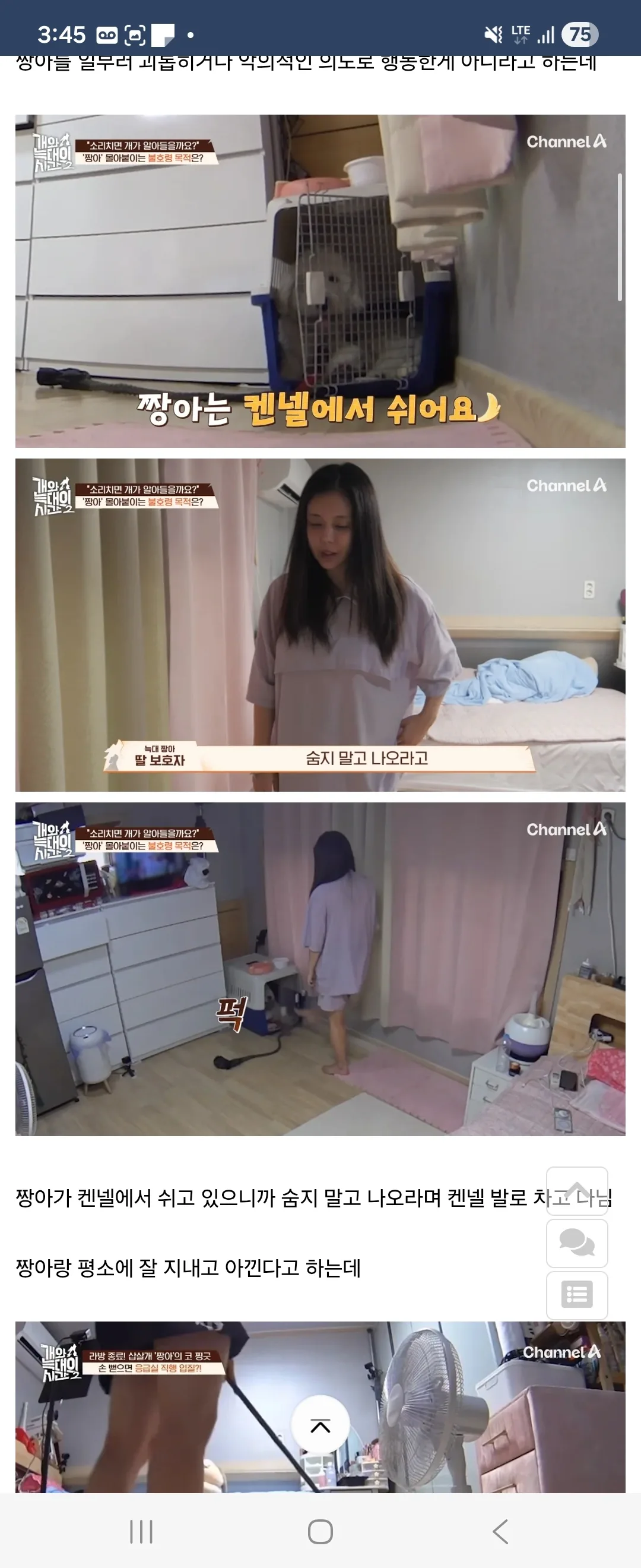 개가 원해요? 개가 원하지 않는다자나요