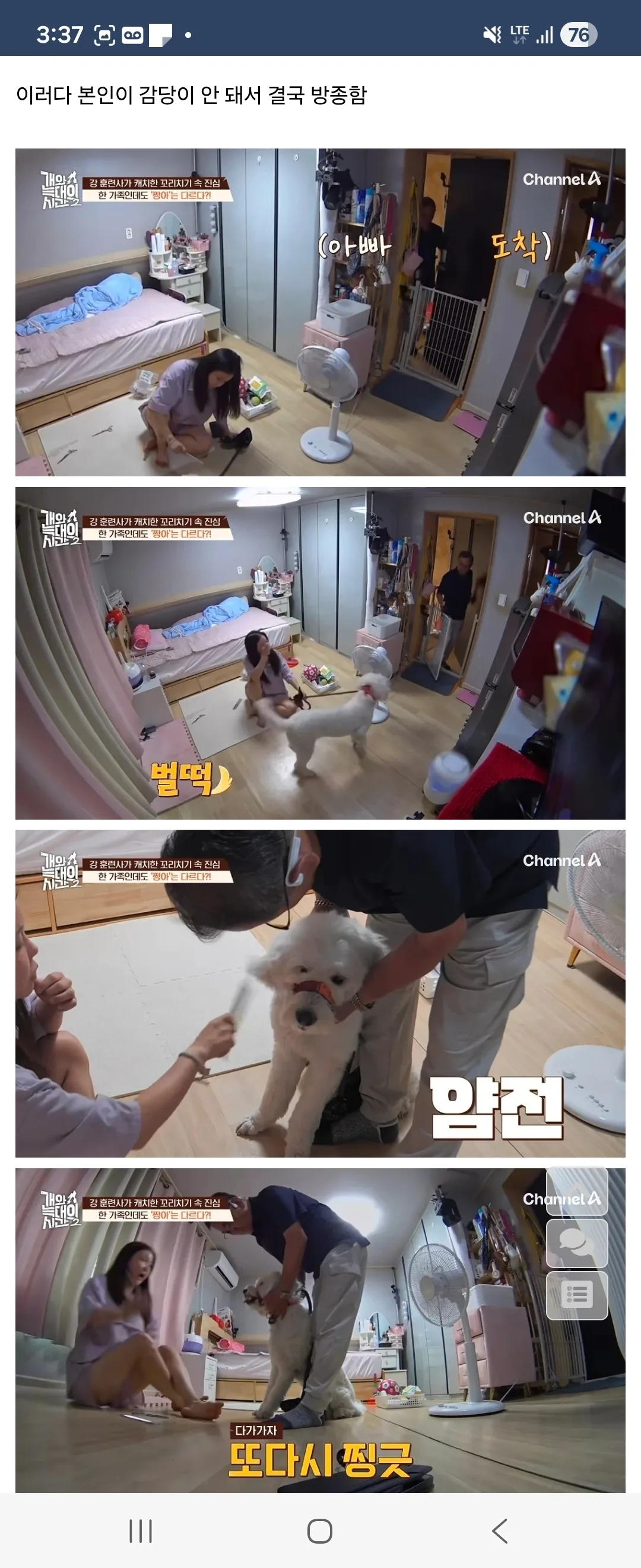 개가 원해요? 개가 원하지 않는다자나요