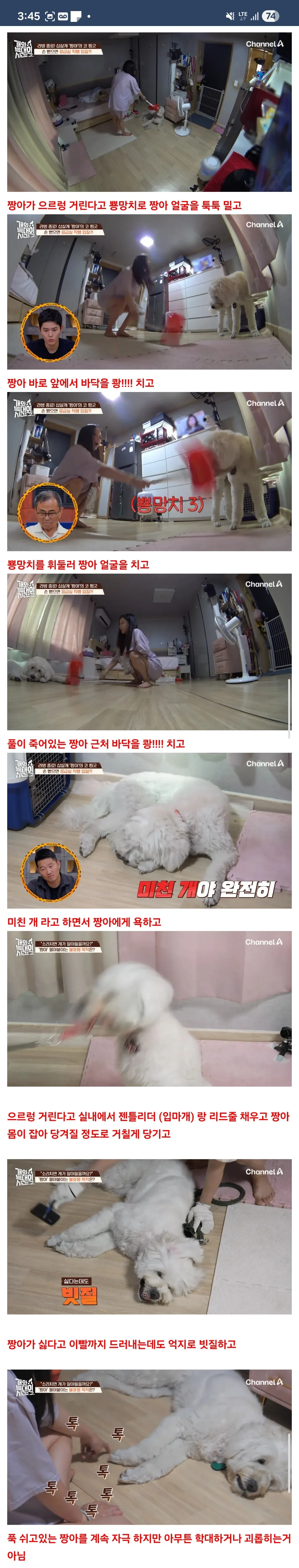 개가 원해요? 개가 원하지 않는다자나요