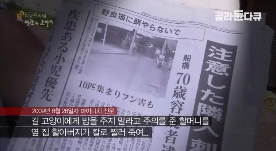 캣맘들 생떼로 새덕후 강연이 결국.. 그들 스스로 증명한 혐오의 사다리