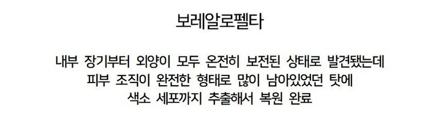 내부 장기부터 피부 색상까지 모두 확인된 공룡