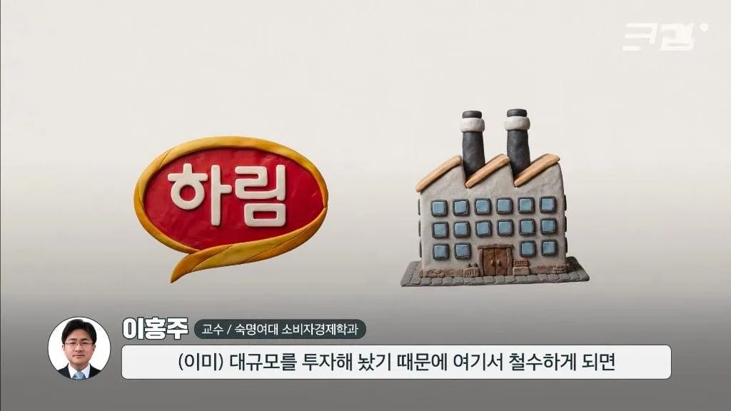 더미식 라면 출시 5년 만에 적자만 수천억이라는 하림