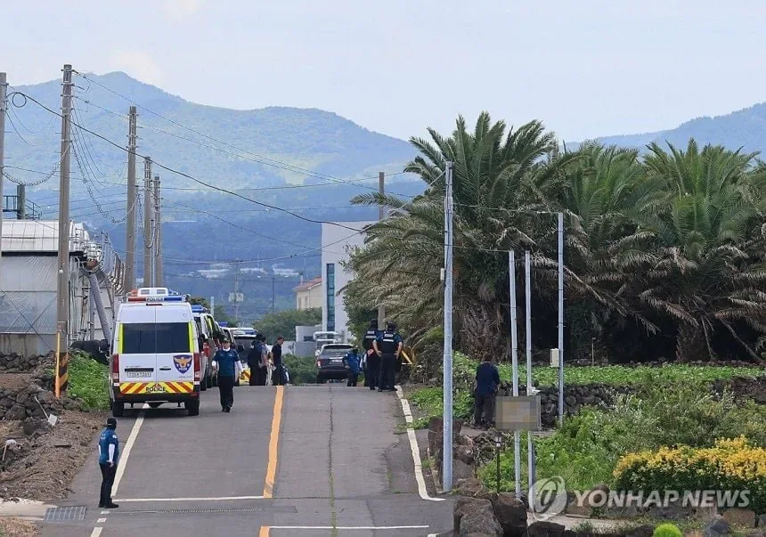 제주 장미란씨 발견 위치
