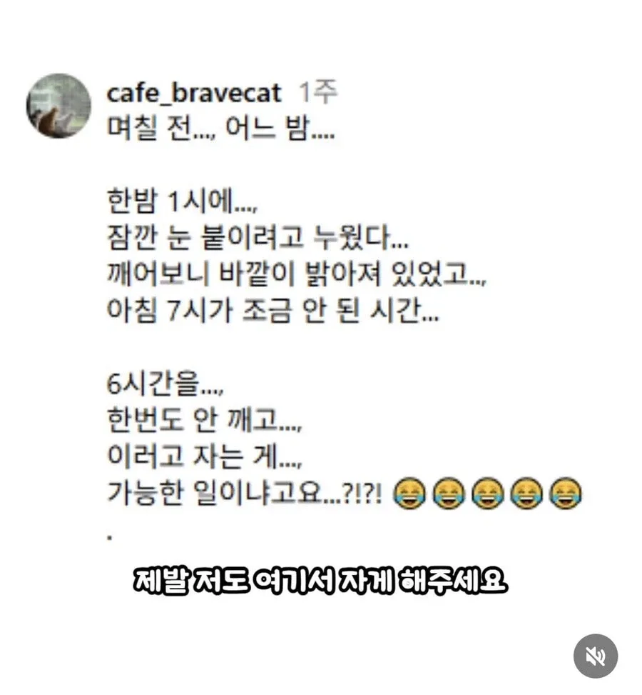 고양이 쉼터에서 6시간 잔사람 ㅋㅋㅋㅋㅋㅋㅋ