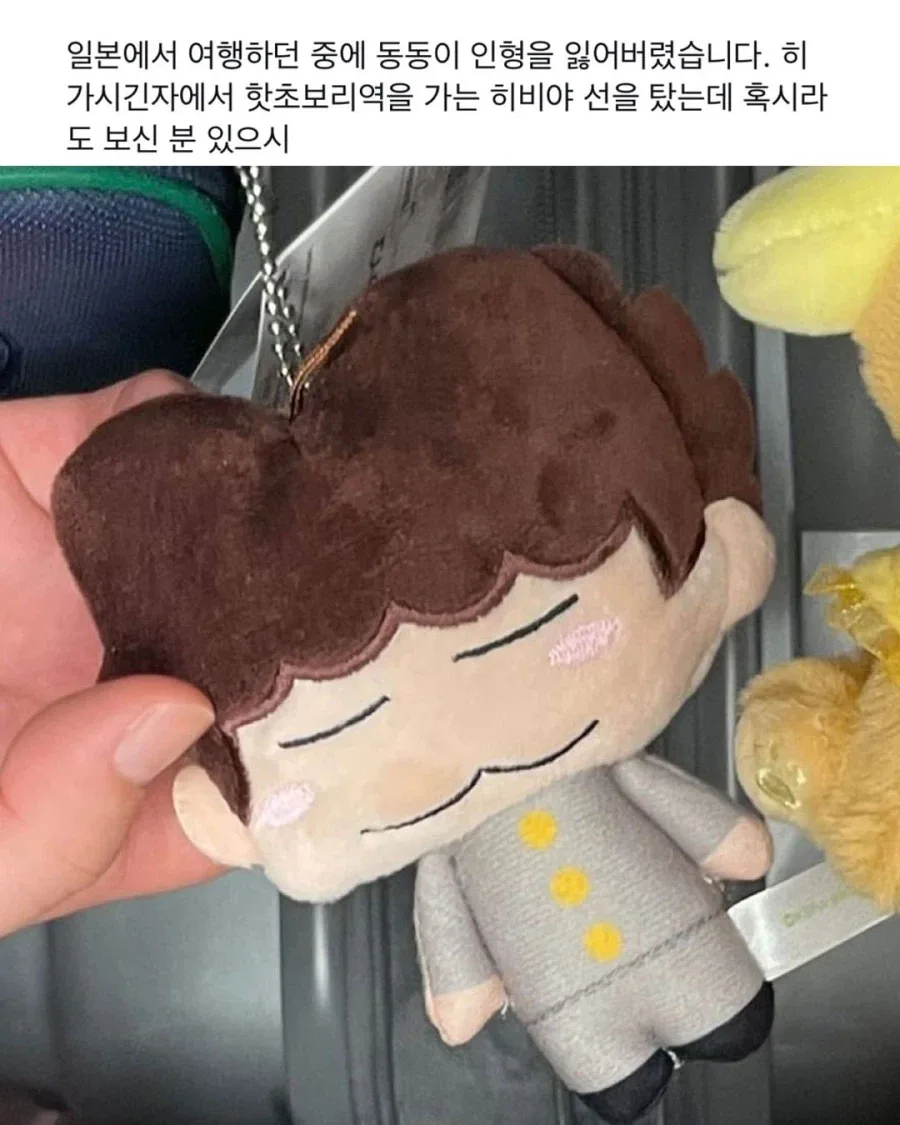 일본 여행 중 잃어버린 인형..._1.webp
