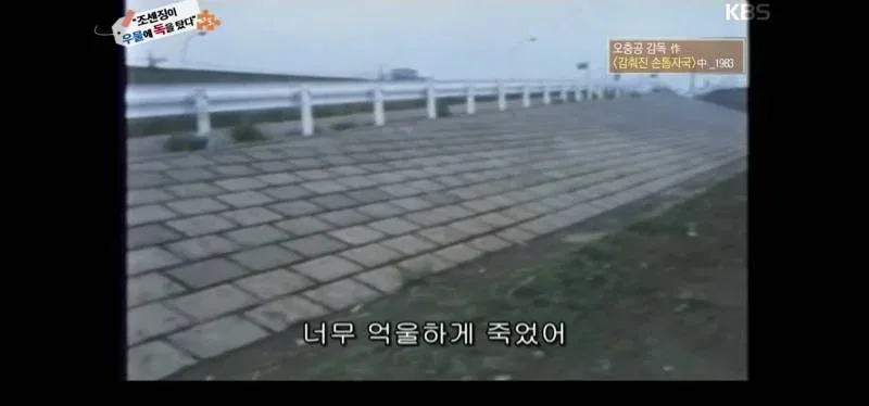 역사저널 그날 충격증언에 녹화중단 사태.jpg