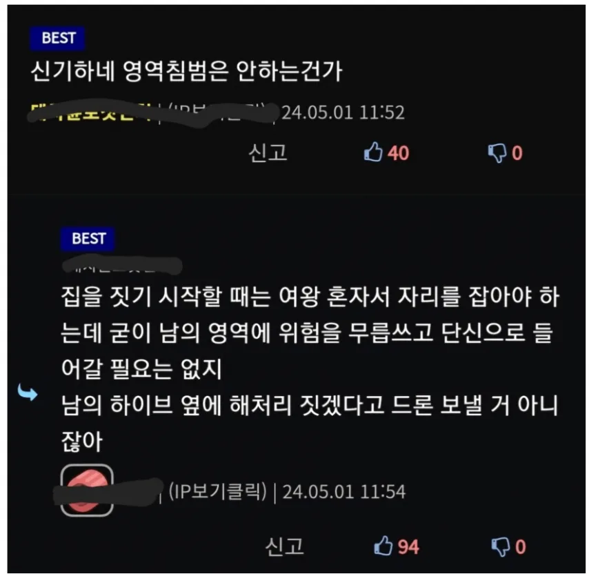 889 말벌 사냥 (11).png