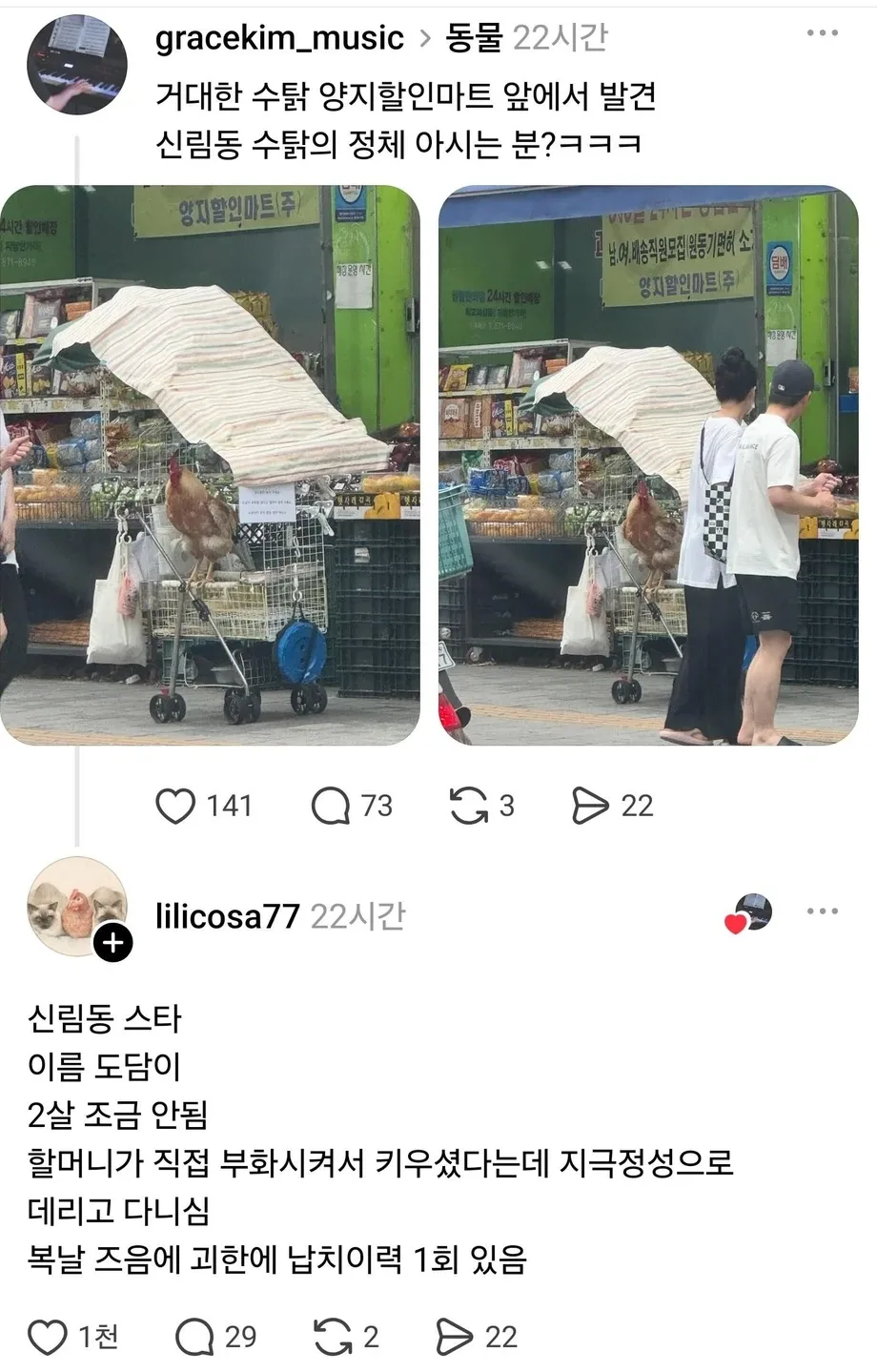신림동 수탉의 정체.jpg