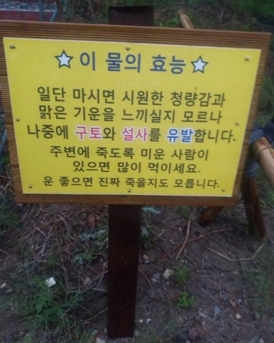 이 물의 효능.jpg