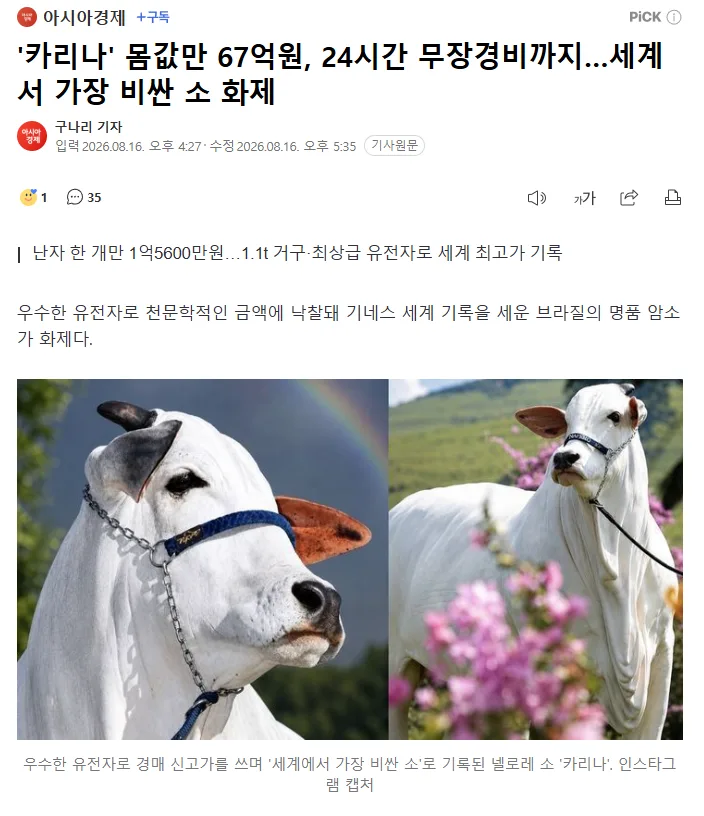 '카리나' 몸값만 67억원, 24시간 무장경비까지