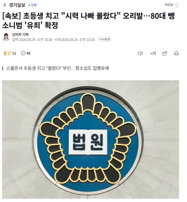 [속보] 초등생 치고 "시력 나빠 몰랐다" 오리발…80대 뺑소니범 '유죄' 확정