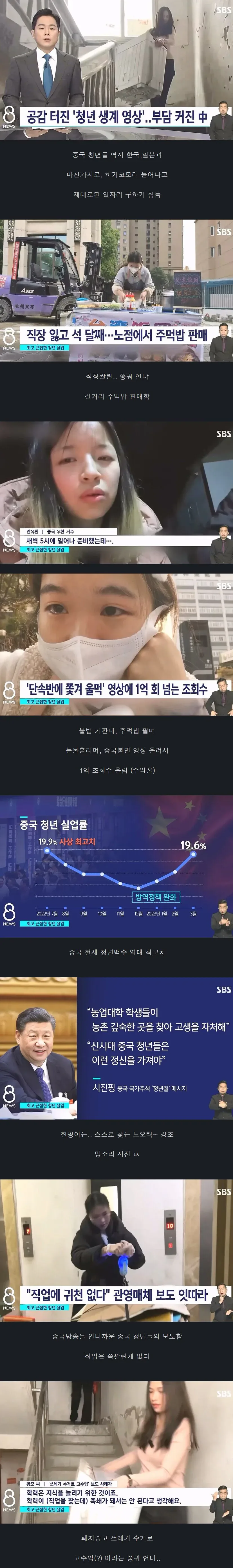 요즘 중국 청년들 근황