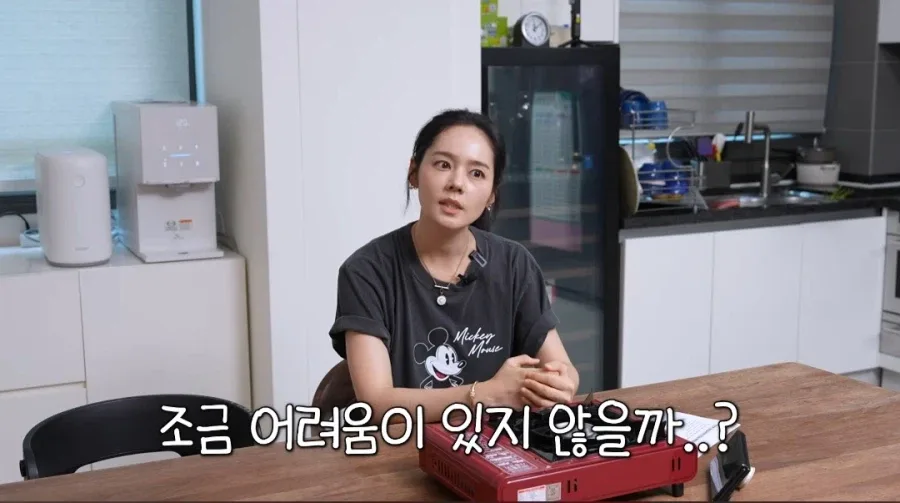한가인이 유튜브에서 자녀 얼굴 공개 안하는 이유