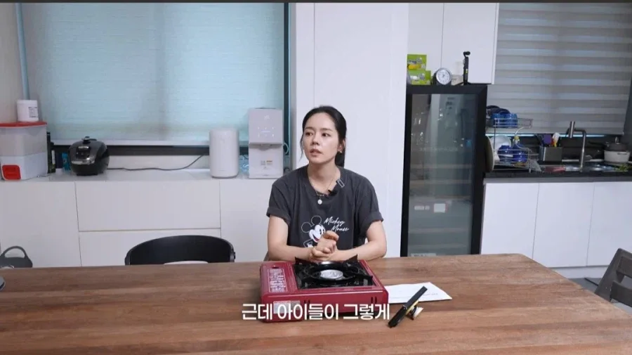 한가인이 유튜브에서 자녀 얼굴 공개 안하는 이유