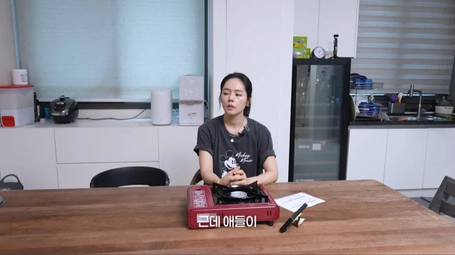 한가인이 유튜브에서 자녀 얼굴 공개 안하는 이유