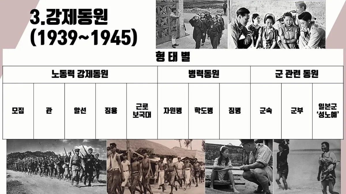 일본에게 36년간 수탈당한 역사 정리