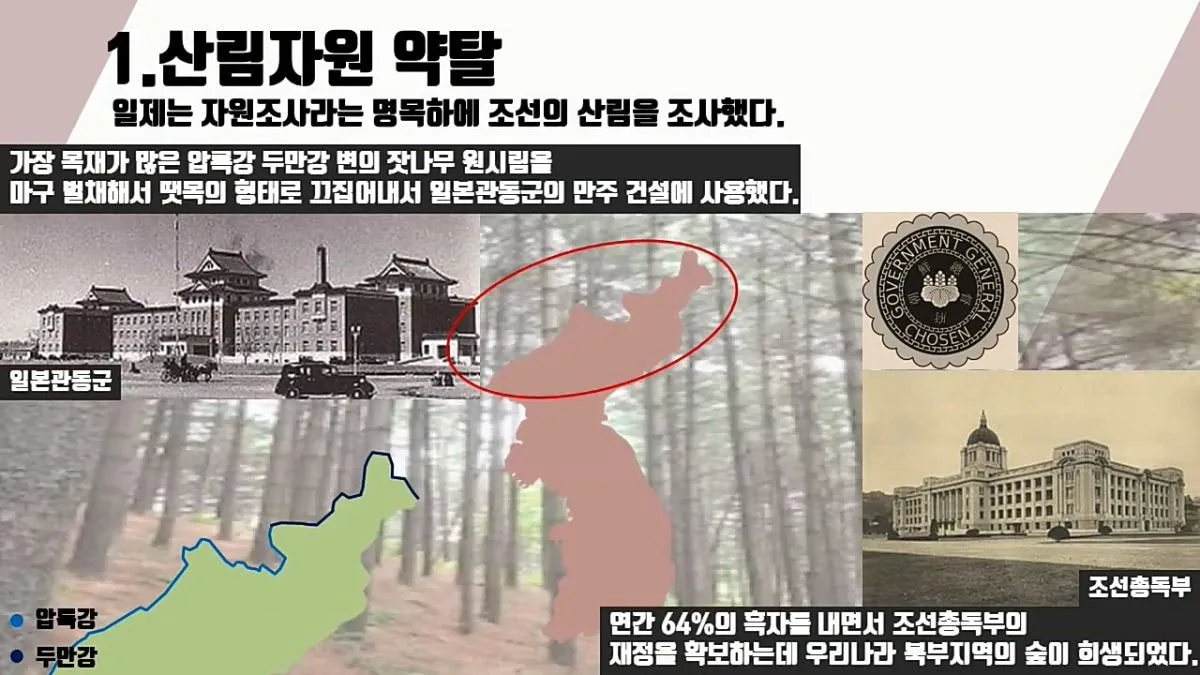 일본에게 36년간 수탈당한 역사 정리
