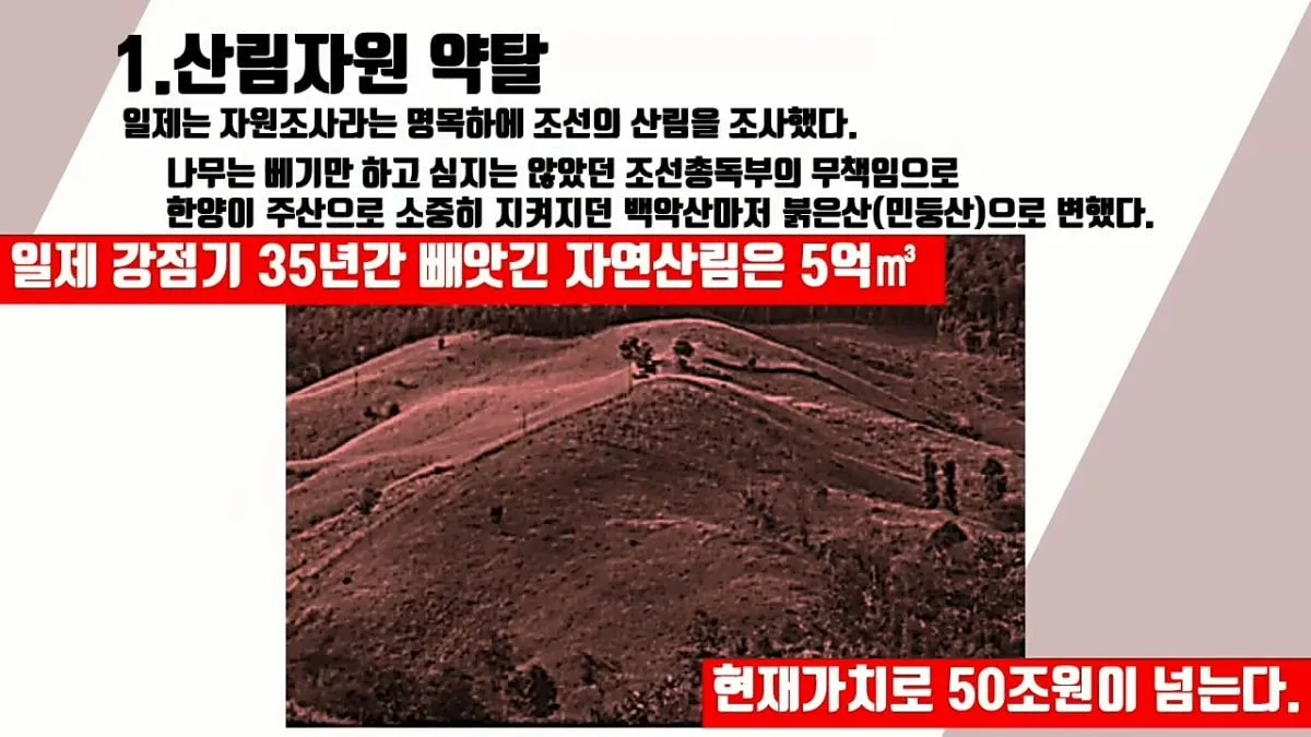 일본에게 36년간 수탈당한 역사 정리