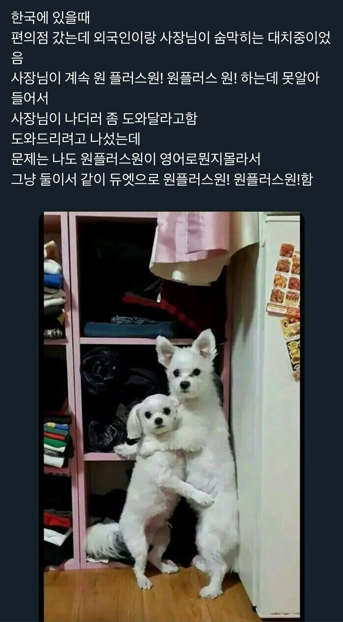 외국인과 사장님의 숨막히는 대치