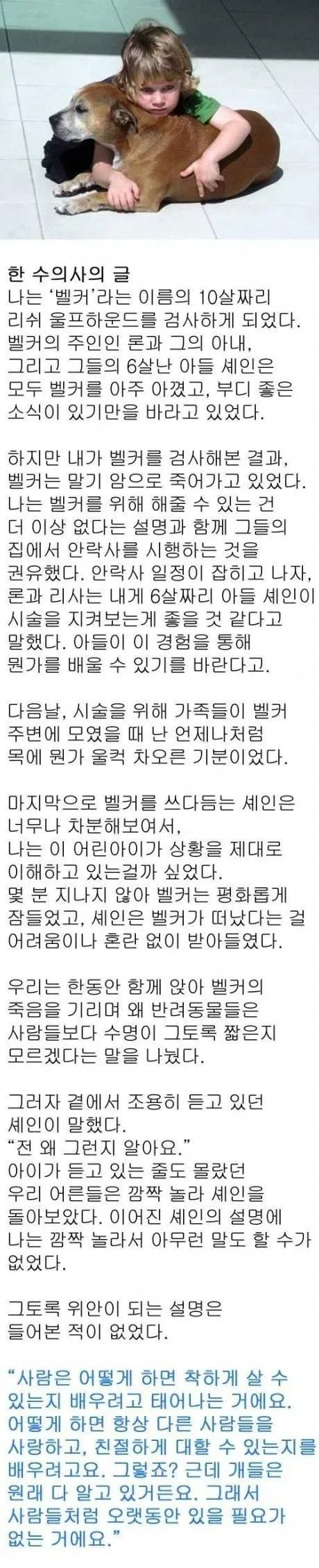 거북이가 악마의 동물인 이유