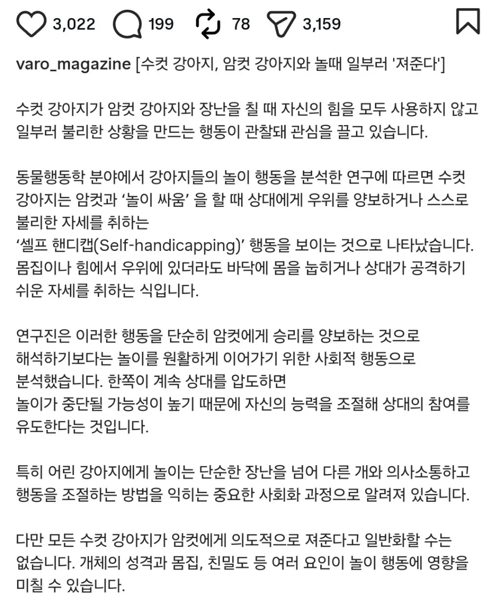 수컷 강아지, 암컷 강아지와 놀때 일부러 '져준다'