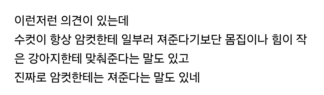 수컷 강아지, 암컷 강아지와 놀때 일부러 '져준다'