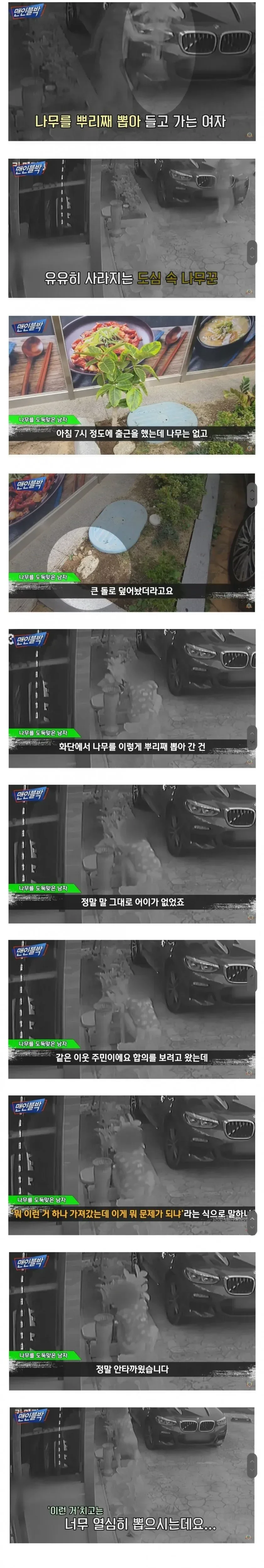 한국에서 은근히 많이 훔쳐가는 것.