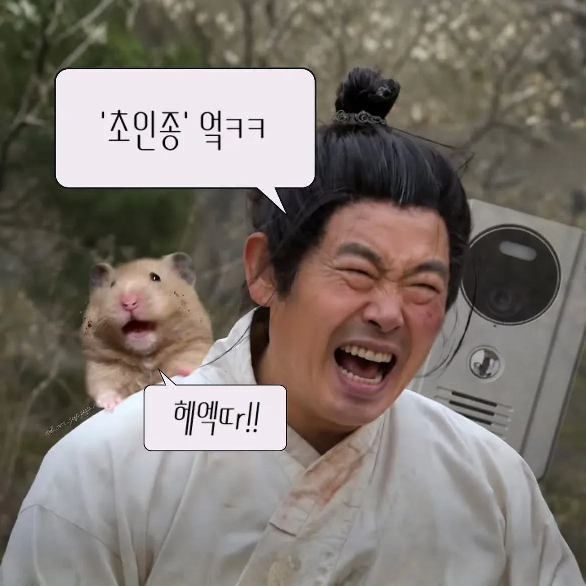 노비가 하늘을 날면 뭔지 아느냐