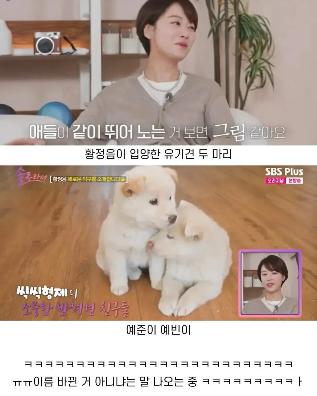 뭔가 바뀐거같은 황정음 가족 이름