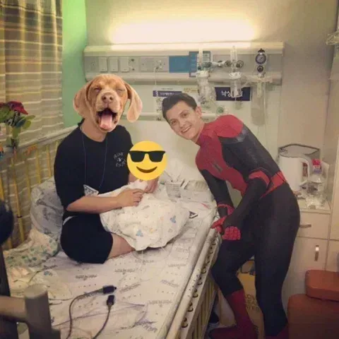 톰홀랜드 2019년 내한했을때 소아병동 갔던거 아는사람