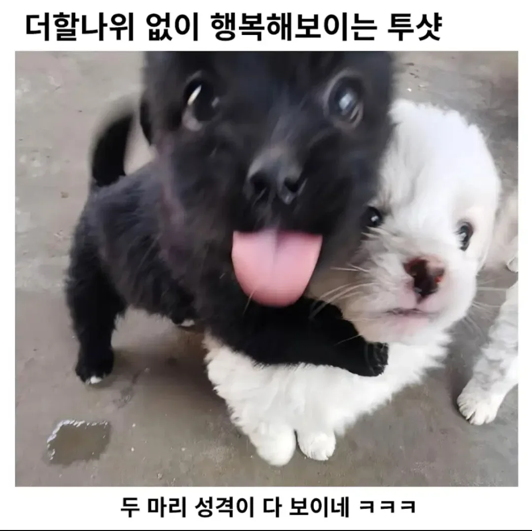 더할 나위 없이 행복해 보이는 투샷