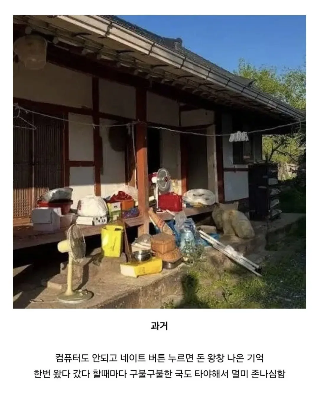 650C2957-8697-481B-935C-52B200DCE2B1.jpeg 요즘 10대들 할머니집