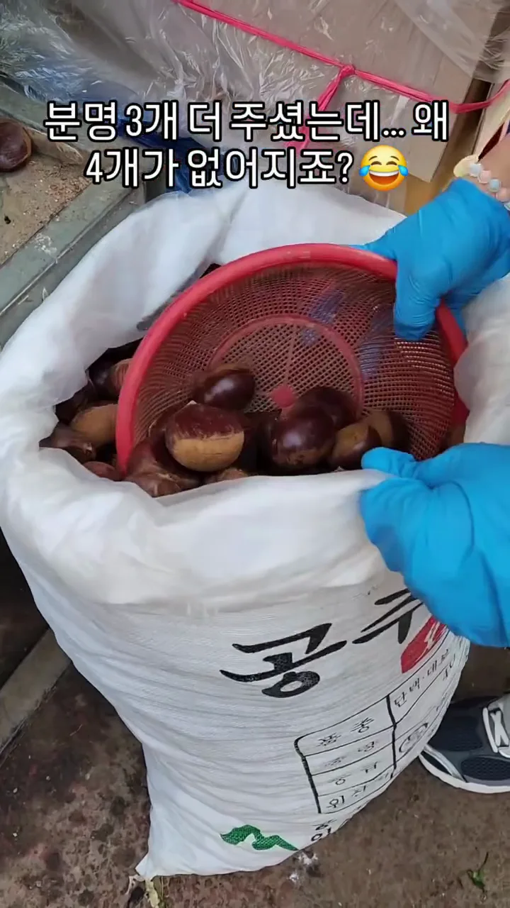 "고니도 울고 갈 밑장빼기"…소쿠리 속 밤 6개 빼낸 '재래시장 상인'