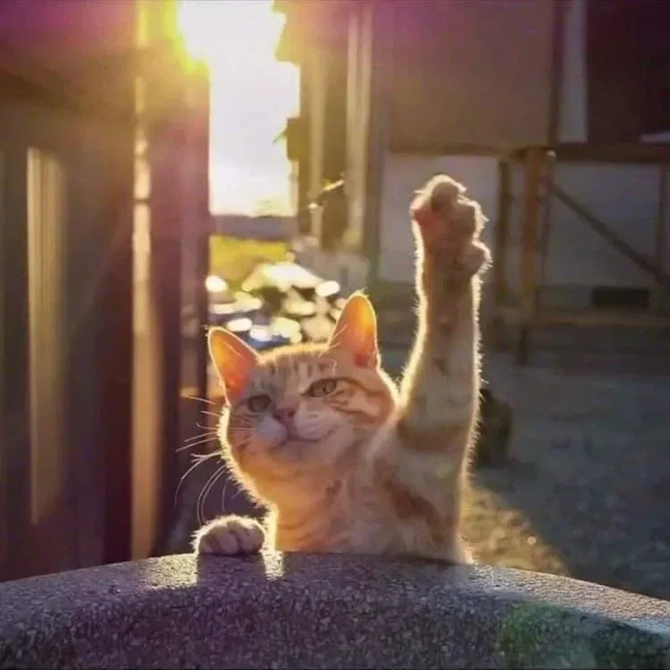 안녕하세요