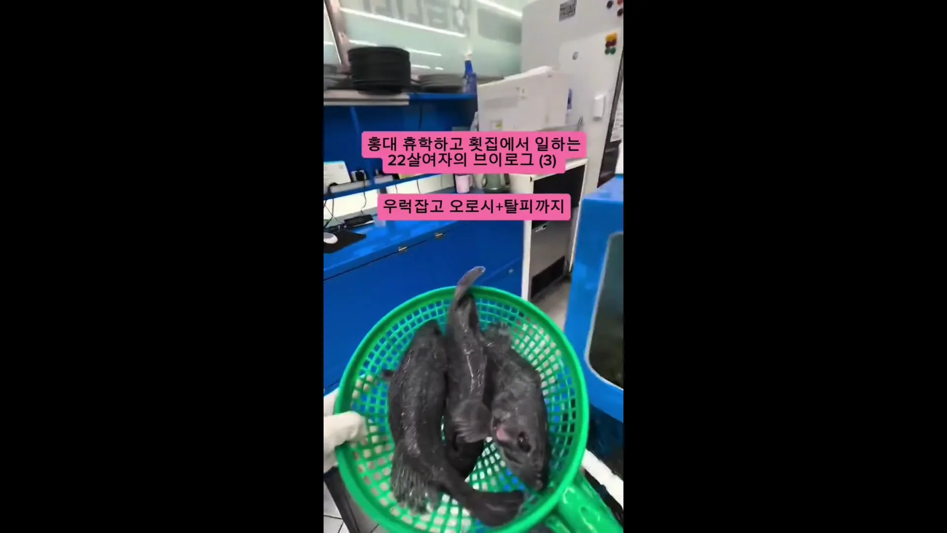 여대생 횟집 알바 브이로그
