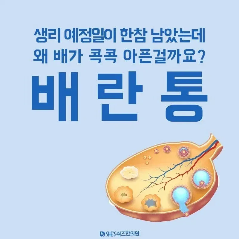 여자들 생리도 아닌 배란일에 배가 아픈 이유.jpg