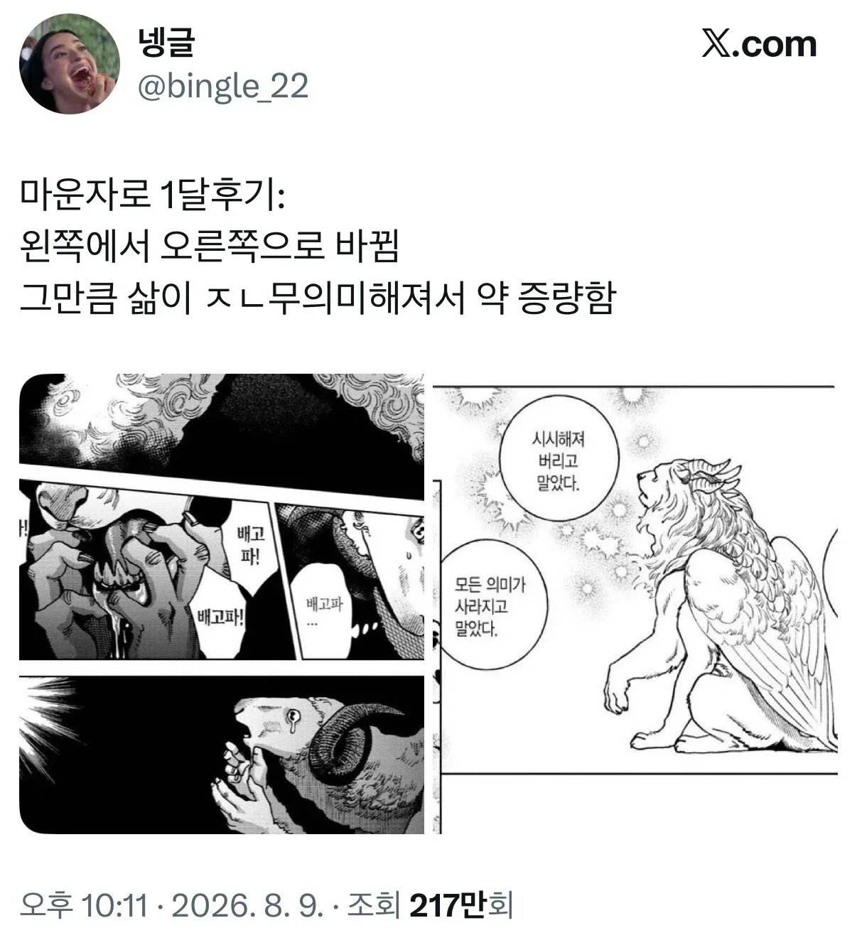 마운자로 한달후기: 왼쪽에서 오른쪽으로 바뀜.twt