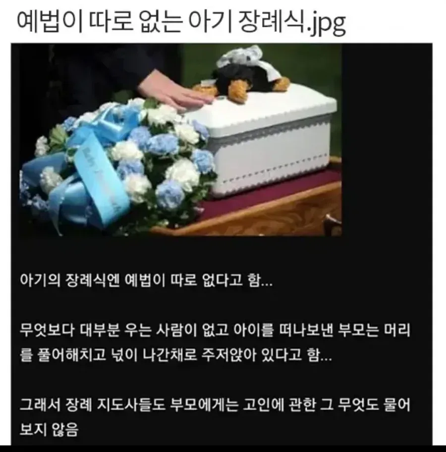 예법이 따로 없다는 아기장례식.jpg