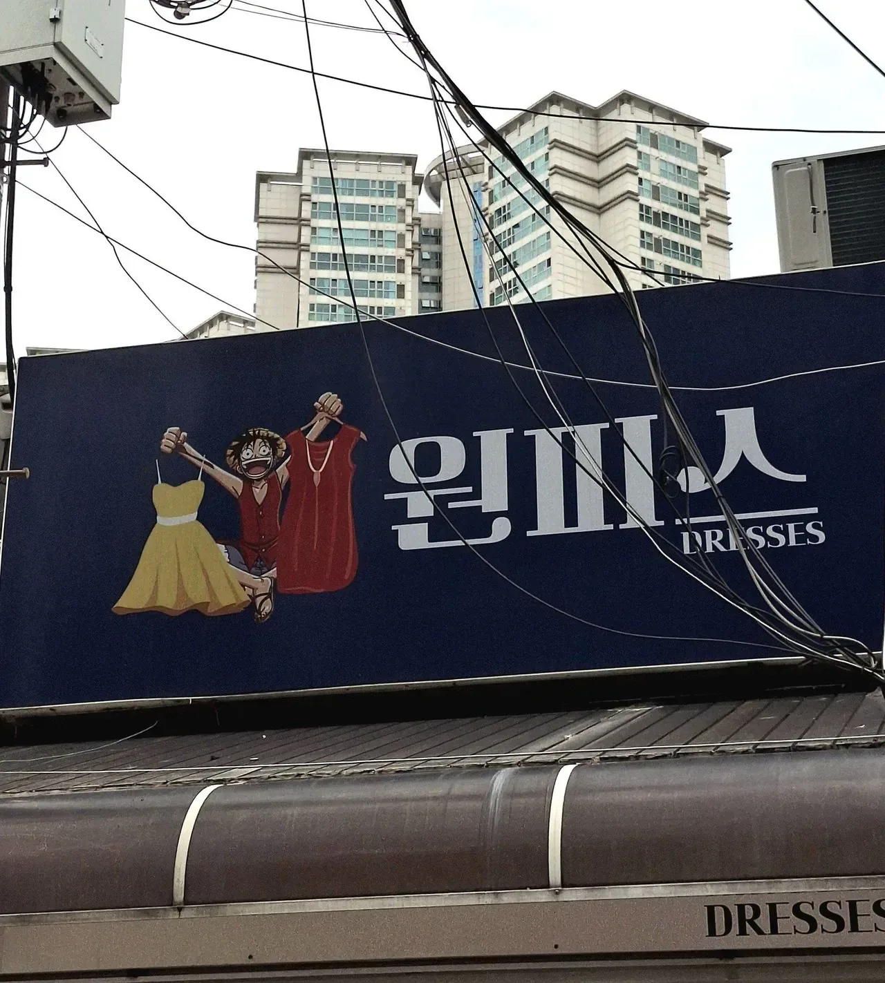 드디어 원피스를 찾은 루피.png