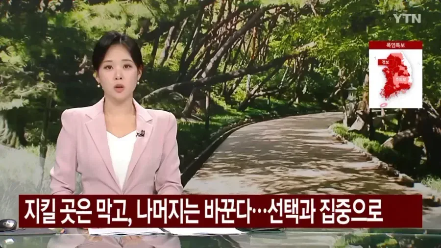 우리나라에 엄청나게 많은 소나무숲 근황
