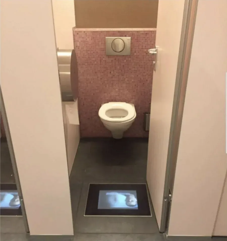 스위스 영화관에 있다는 화장실