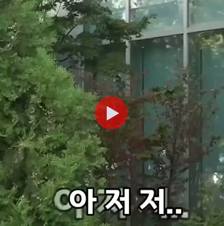 가수 비 인터뷰 논란