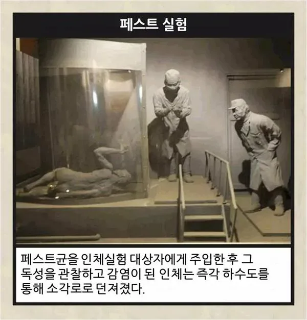 이걸 보고도 일뽕이 차나요?