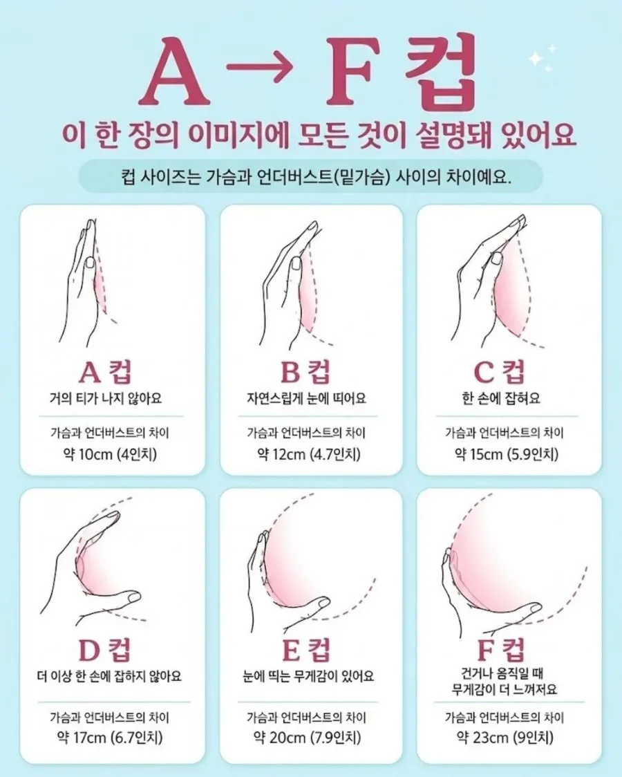 슴가 컵사이즈 재는 법