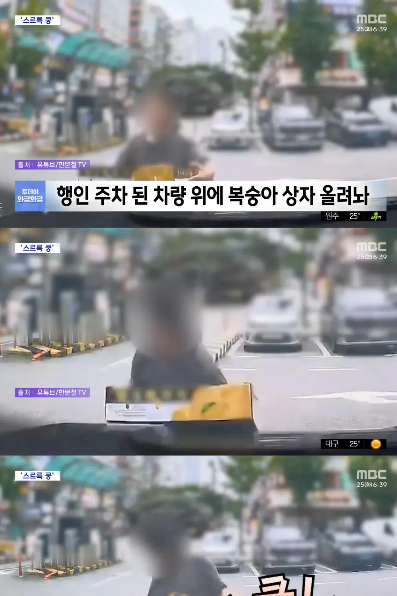 타인 차량에 무심코 올린 복숭아 상자 논란
