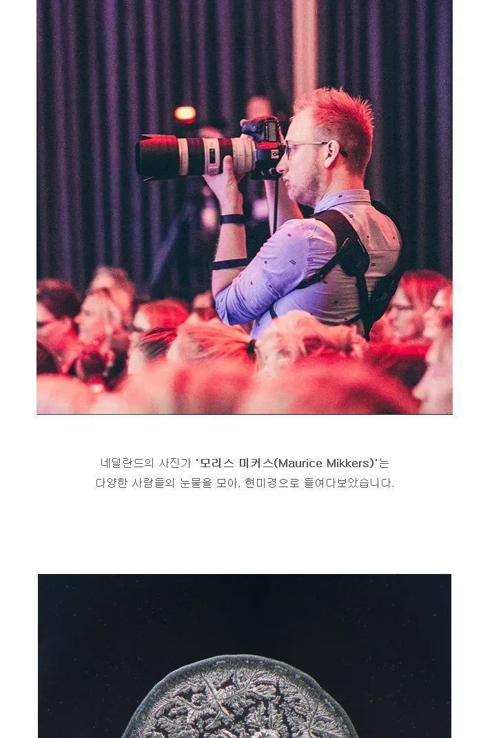 현미경으로 본 눈물