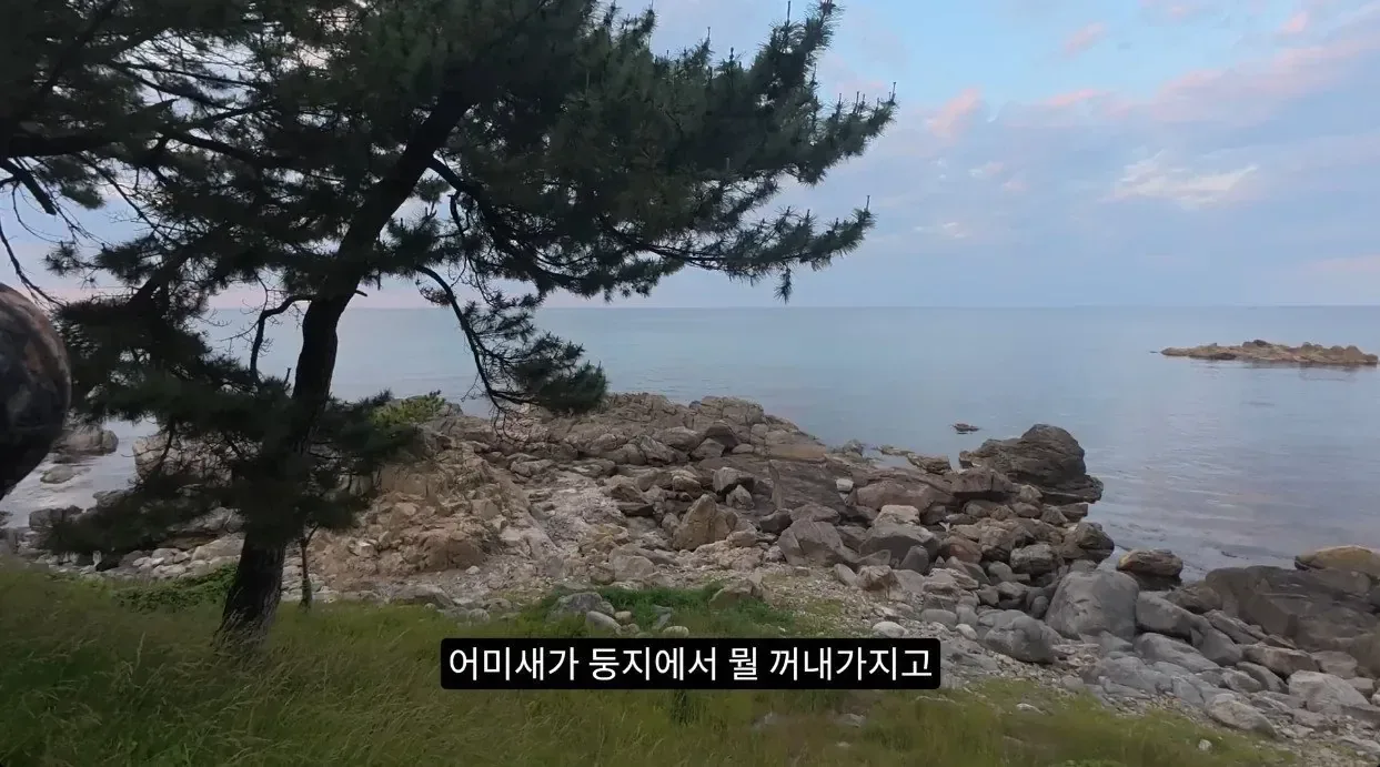 최근 수리부엉이가 먹이로 잡고 있다는 동물