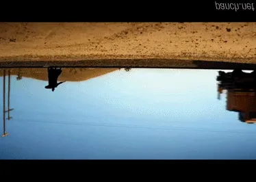 주식갤러리 영구차단 짤.gif