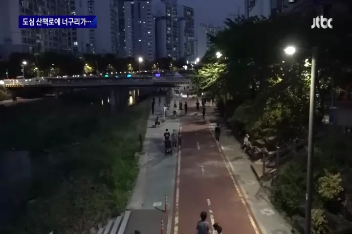 "너구리를 만나면 도망가라"…서울 도심 '너구리 습격사건'