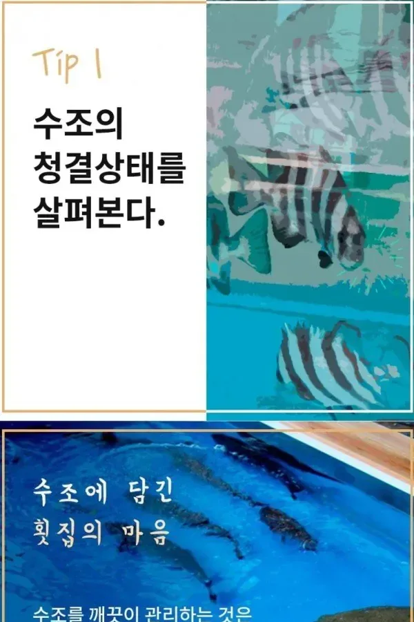 싱싱한 회고르는 꿀팁
